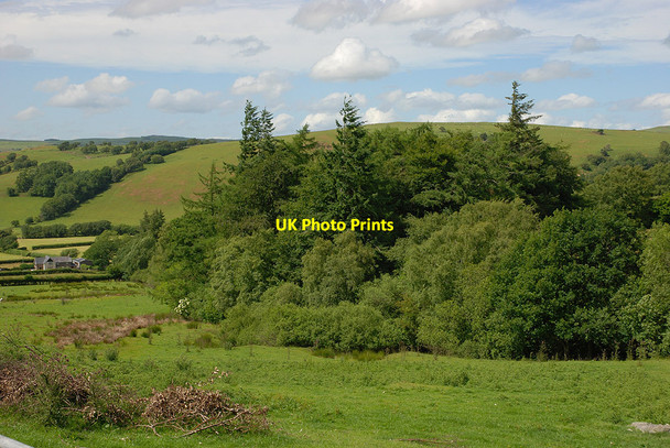 Photo 6"x4" Mixed woodland near Dolddigus Gwernafon c2010