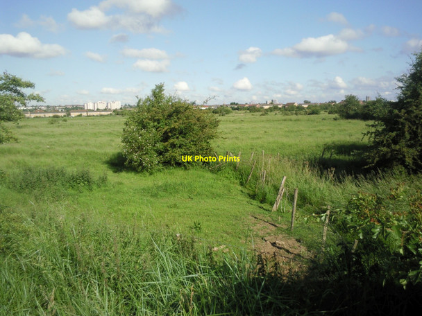 Photo 6"x4" Crayford Marsh Crayford\/TQ5174 c2010