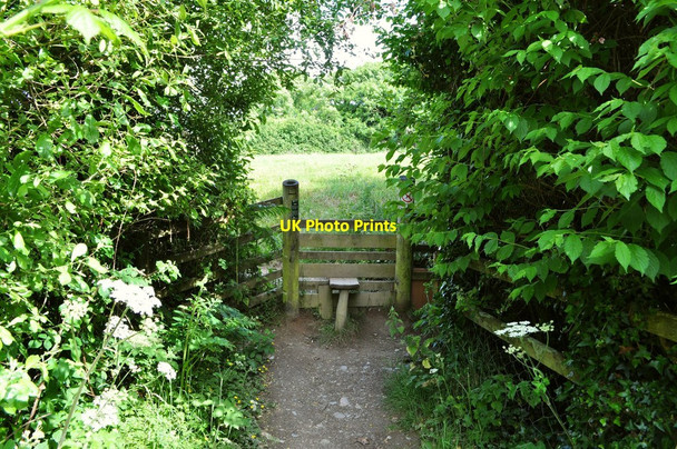 Photo 6"x4" The Stile on the footpath which leads across a field between Easewell Farm and Yarde Farm Higher Warcombe c2010