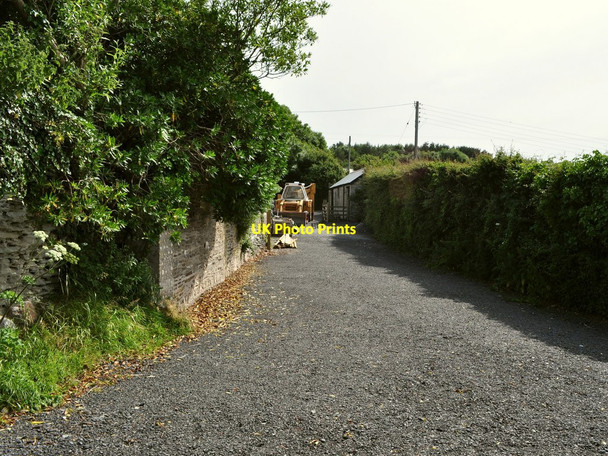 Photo 6"x4" A track leading to Yarde Farm Higher Warcombe c2010