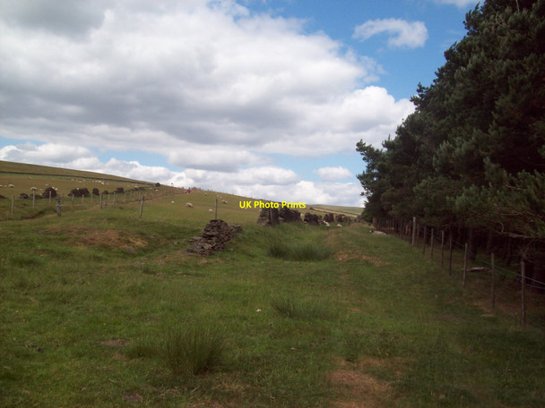 Photo 6"x4" Near Hope Cross Edale End c2010