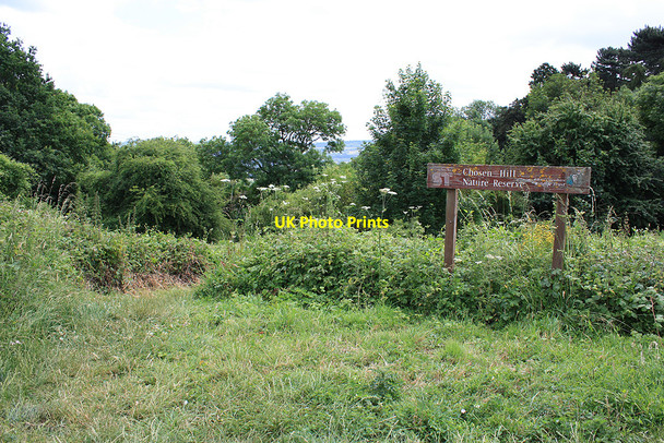 Photo 6"x4" Chosen Hill Nature Reserve Badgeworth c2010