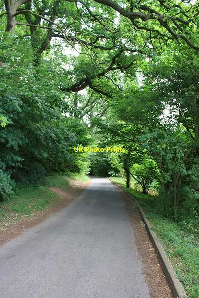 Photo 6"x4" Single track roads descending Churchdown Hill Badgeworth c2010