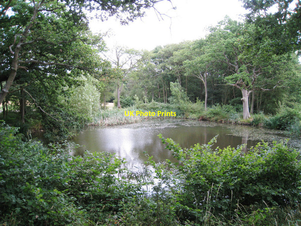 Photo 6"x4" Pond near Bough Beech Reservoir Bough Beech c2010