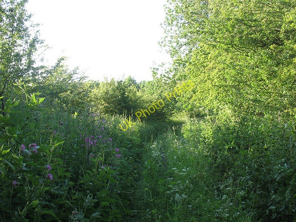 Photo 6"x4" Culvert Lane - overgrown Skipton c2009