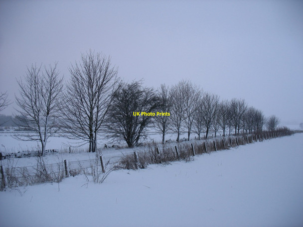 Photo 6"x4" Road near Claysyke Farm, Kinross-shire Crook of Devon c2010