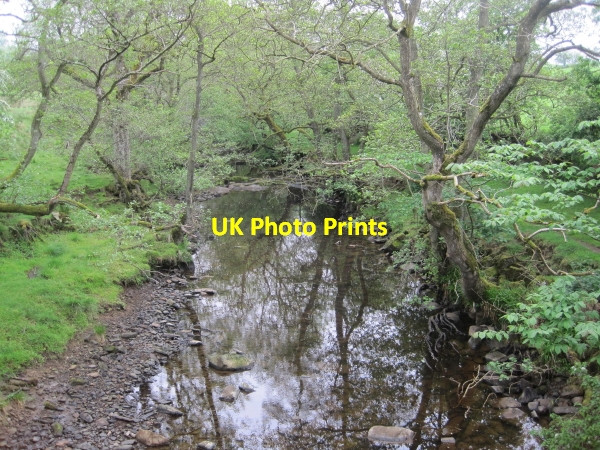 Photo 6"x4" Houxty Burn near Esp Mill Bridge Ho\/NY8279 c2010