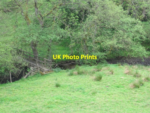 Photo 6"x4" Footbridge over Pundershaw Burn Bridge Ho\/NY8279 c2010