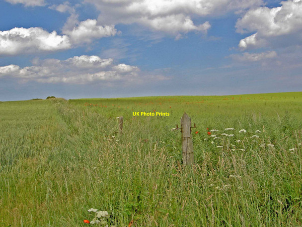 Photo 6"x4" Speeton farmland Speeton c2010
