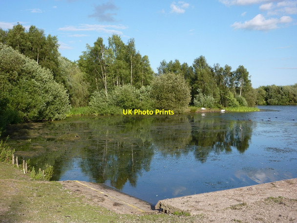 Photo 6"x4" Daneshill Lakes nature reserve Torworth c2010