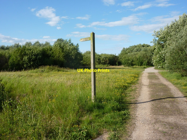 Photo 6"x4" Footpath and meadow at Daneshill Lakes reserve Torworth c2010
