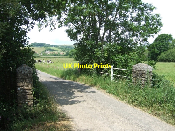 Photo 6"x4" Bridge over river Bride Puncknowle c2010