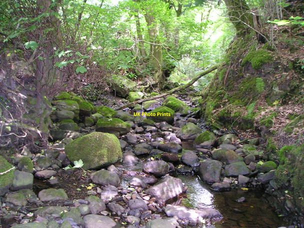 Photo 6"x4" Nant Gwinau Garnant c2010