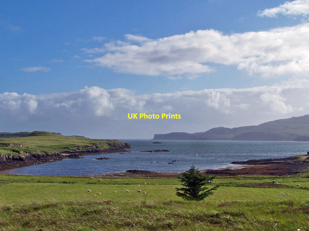 Photo 6"x4" Camas B\u00c3\u00a0n Ardmore\/NG2841 c2010