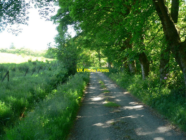 Photo 6"x4" Access track passing Ronachan Clachan\/NR7656 c2010