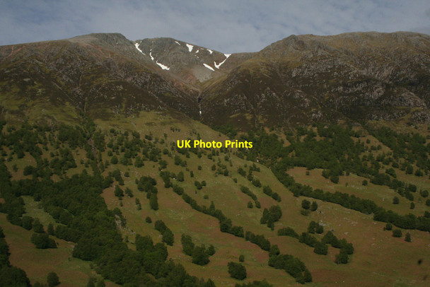 Photo 6"x4" Glen side woodland D\u00f9n Deardail (Fort) c2010