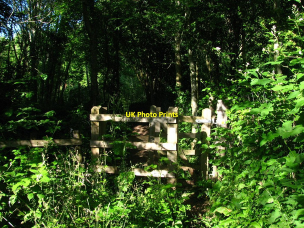 Photo 6"x4" Kissing Gate in the Trees Caerleon or Caerllion c2010