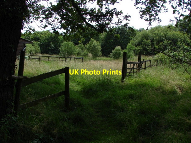 Photo 6"x4" Stafford Lake Lucas Green\/SU9459 c2010 P1