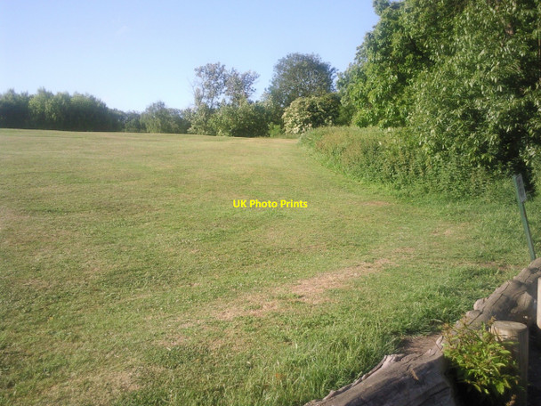 Photo 6"x4" Bursted Wood Erith c2010