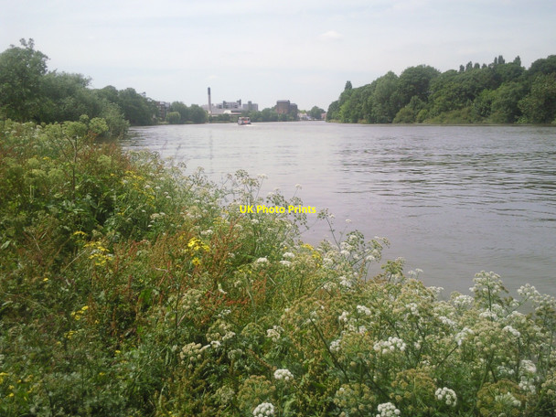 Photo 6"x4" Summer river scene at Mortlake Barnes c2010