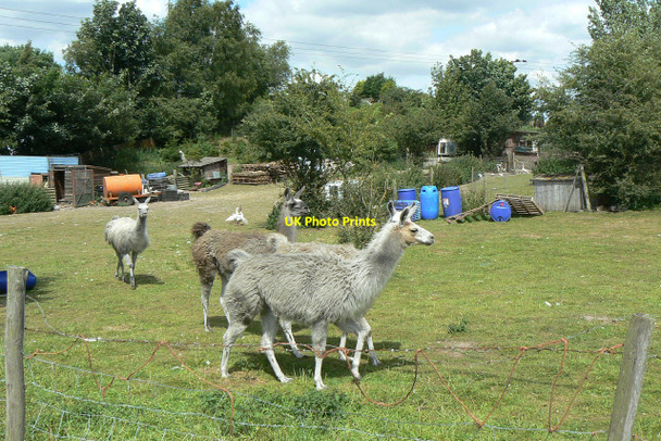 Photo 6"x4" Spitting image Bestwood Village c2010