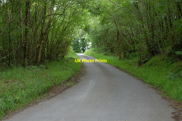 Photo 6"x4" Steep hill on the back road Cwmbelan c2010