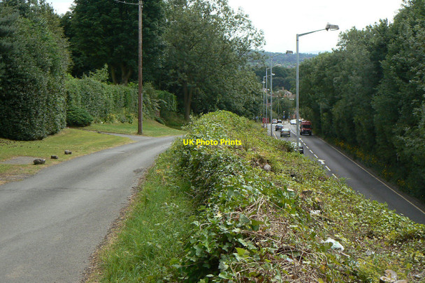 Photo 6"x4" Arch Hill Arnold\/SK5945 c2010