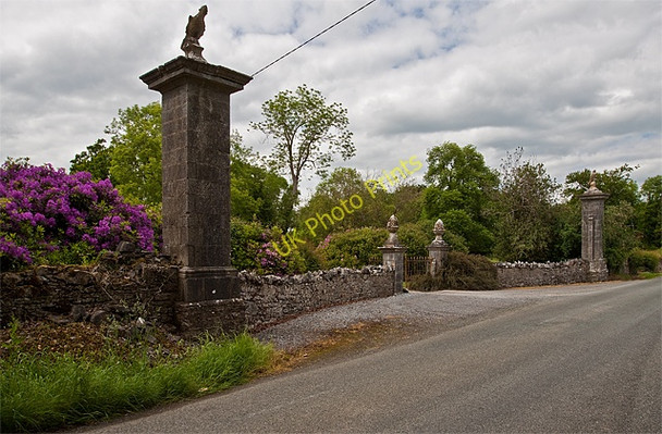 Photo 6"x4" Gate entrance to Estate, Kilshannig, Newberry Drommahane c2009