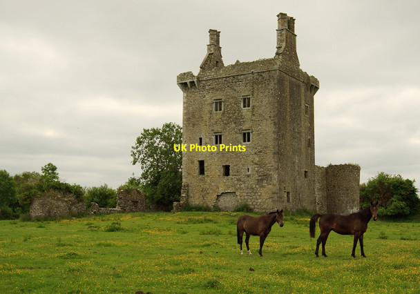 Photo 6"x4" Castles of Connacht: Derryhivenny, Galway (1) Ballycrossaun c2010