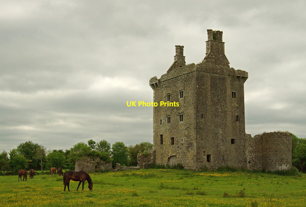 Photo 6"x4" Castles of Connacht: Derryhivenny, Galway (2) Ballycrossaun c2010