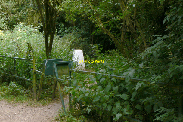 Photo 6"x4" Triangulation pillar on Killisick Lane Arnold\/SK5945 c2010