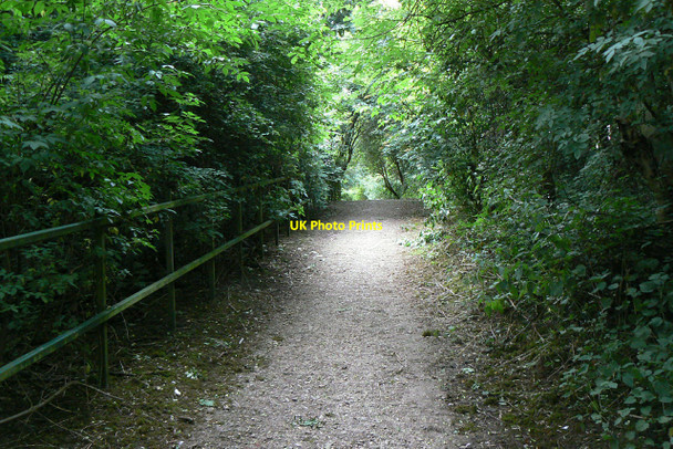 Photo 6"x4" Killisick Lane Arnold\/SK5945 c2010