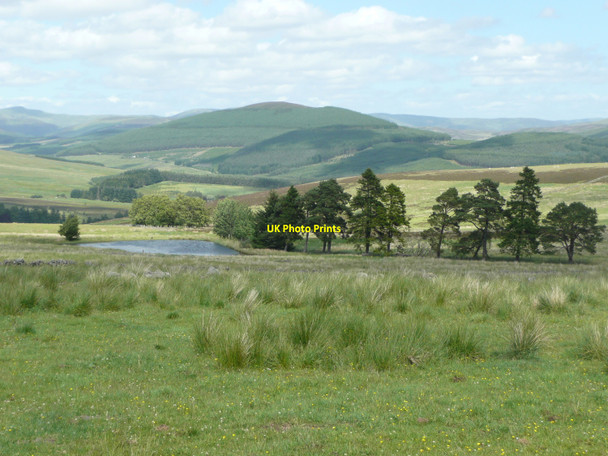 Photo 6"x4" Rough grazing above Redlatches Auchinleish c2010
