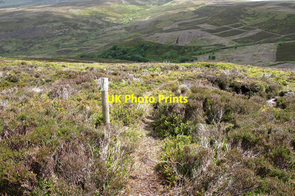 Photo 6"x4" Waymarked path to Hawthornthwaite Fell Top Tarnbrook c2010