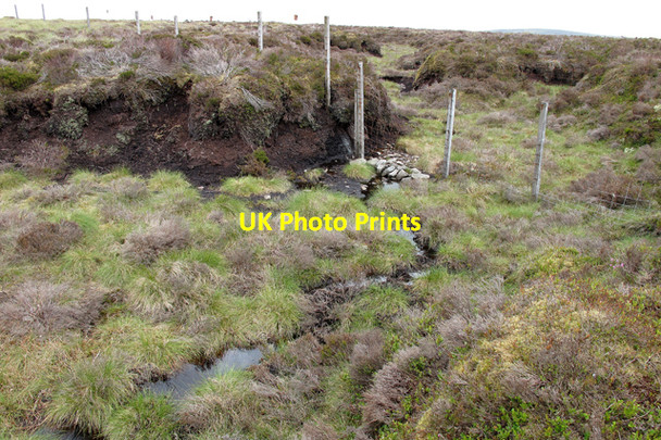 Photo 6"x4" Boundary fence and boggy ground on Holdron Moss Sykes\/SD6351 c2010