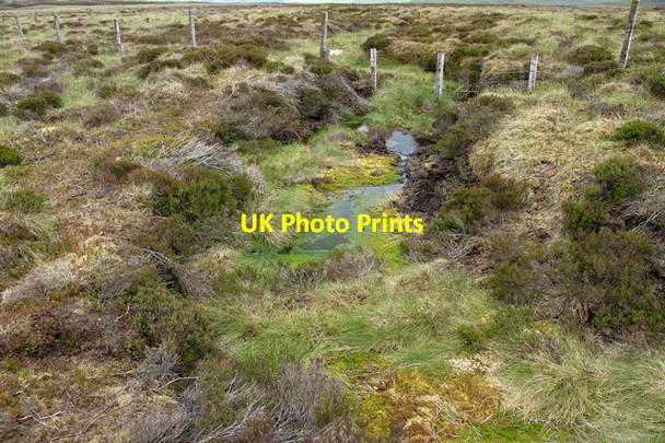 Photo 6"x4" Boundary fence across boggy pool on Mere Clough Head Sykes\/SD6351 c2010