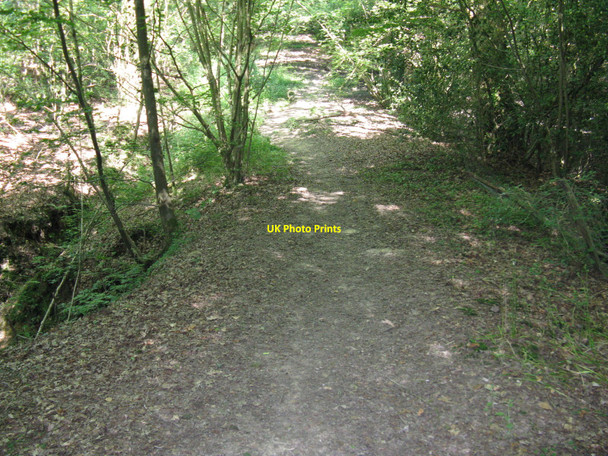 Photo 6"x4" Footpath through Stones Rough Potter's Green\/TQ5023 c2010