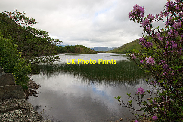 Photo 6"x4" Kylemore Viewpoint Letterfrack c2010