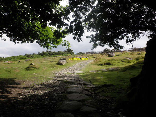 Photo 6"x4" Path to Belstone Common Skaigh c2010