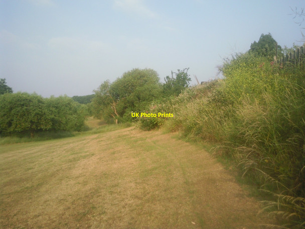 Photo 6"x4" Streamway in summer Erith c2010
