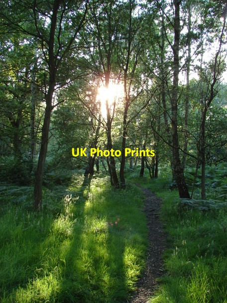 Photo 6"x4" Stringers Common Jacobs Well c2010