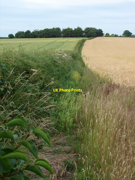 Photo 6"x4" Gough Walk Harmer Hill c2010