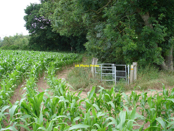 Photo 6"x4" The Gough Walk, leading into Harmer Hill Wood Myddle c2010