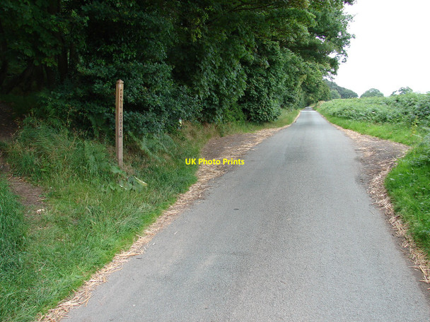 Photo 6"x4" Walking the dog? Myddle c2010
