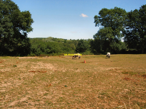 Photo 6"x4" Horses in farm north of Lindfield Haywards Heath c2010