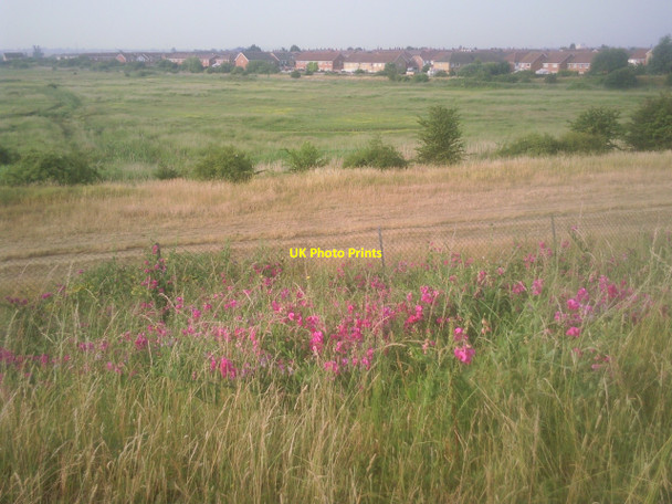Photo 6"x4" A summer's morning at Crayford Marsh Erith c2010