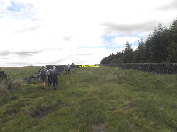 Photo 6"x4" Alongside Sunderland Pasture Charlestown\/SD9726 c2010