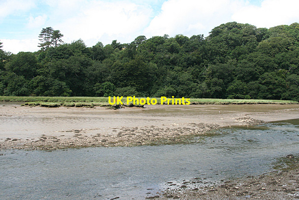 Photo 6"x4" Bere Ferrers: Tavy estuary Lopwell c2010