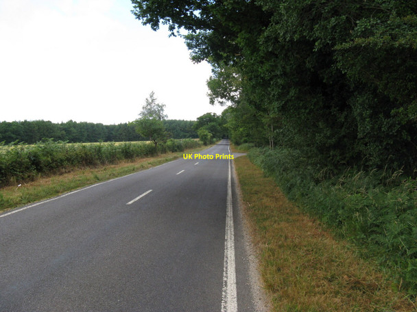 Photo 6"x4" West along Selhurstpark Road Eartham c2010