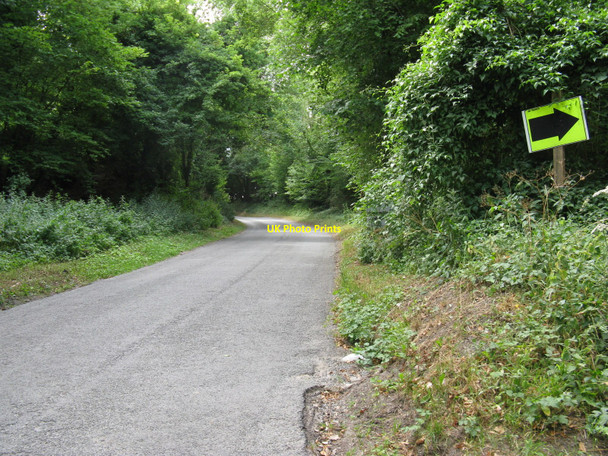 Photo 6"x4" Eastdean Hill south out of East Dean East Dean\/SU9013 c2010